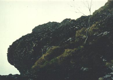 Ascent to the top of the fortress