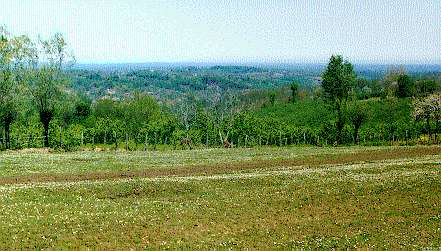 View of the Thermodon landscape facing the North