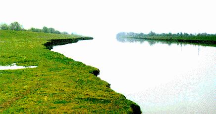 Mouth of the river Thermodon