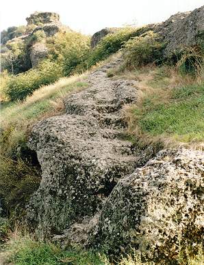 Steps up to the platform