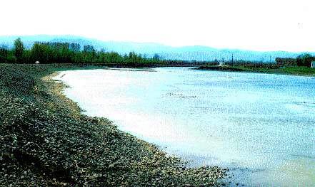 Thermodon river entering the plain